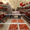 Automatic Ventilation System Chicken Farm Hot Sale A Type Layer Poultry Cage